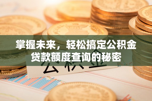 秀水掌握未来，轻松搞定公积金贷款额度查询的秘密