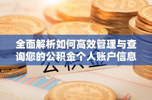 秀水全面解析如何高效管理与查询您的公积金个人账户信息
