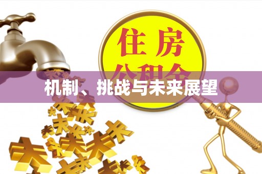 秀水机制、挑战与未来展望